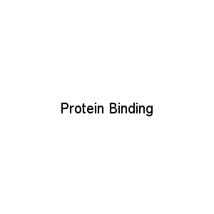 Protein Binding
